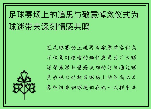 足球赛场上的追思与敬意悼念仪式为球迷带来深刻情感共鸣