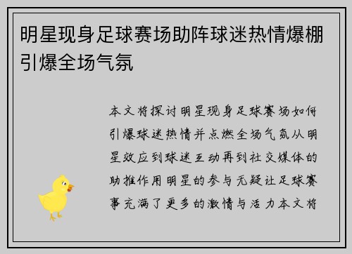 明星现身足球赛场助阵球迷热情爆棚引爆全场气氛