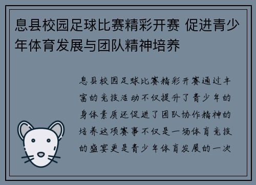 息县校园足球比赛精彩开赛 促进青少年体育发展与团队精神培养