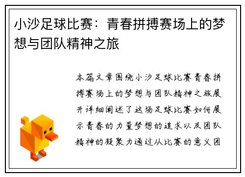 小沙足球比赛：青春拼搏赛场上的梦想与团队精神之旅