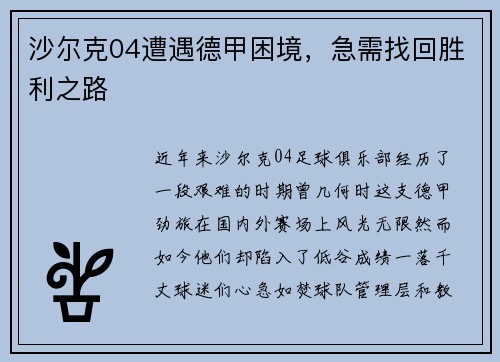 沙尔克04遭遇德甲困境，急需找回胜利之路