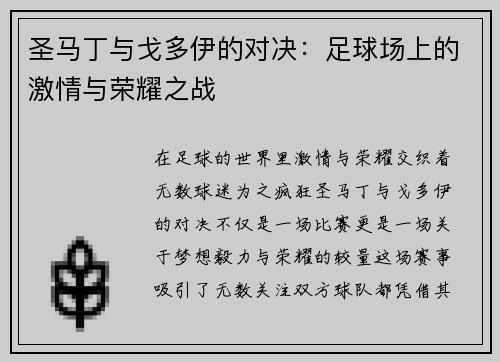 圣马丁与戈多伊的对决：足球场上的激情与荣耀之战