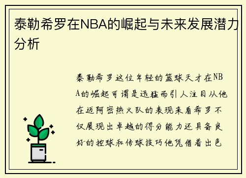 泰勒希罗在NBA的崛起与未来发展潜力分析
