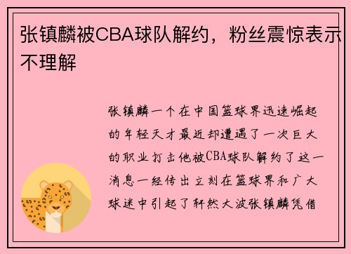 张镇麟被CBA球队解约，粉丝震惊表示不理解